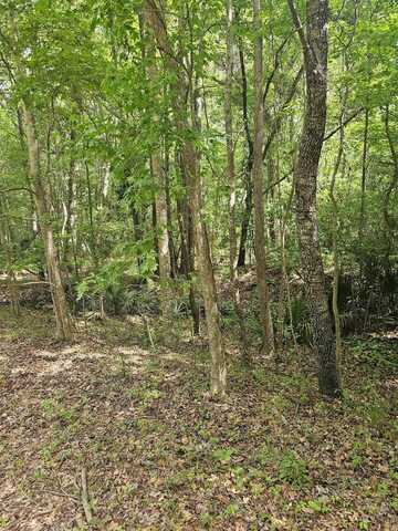 3910 Benjamin Road, Johns Island, SC 29455