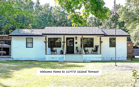 11975 162ND TERRACE, Mc Alpin, FL 32062