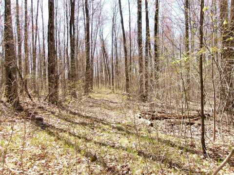 TBD Oak, Lake George, MI 48633