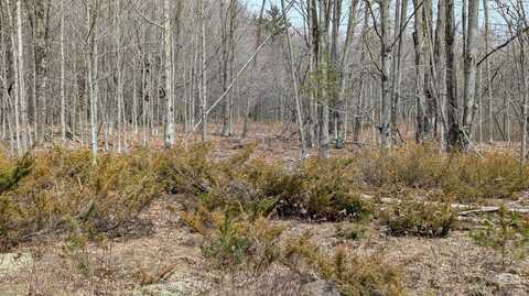 75 Windy Lane, Jewett, NY 12444