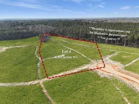 LOT 4 HIGHWAY 62 Highway, Franklinton, LA 70438