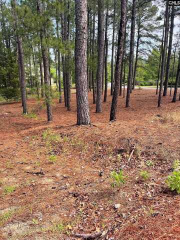 2233 Bee Ridge Road, Columbia, SC 29223