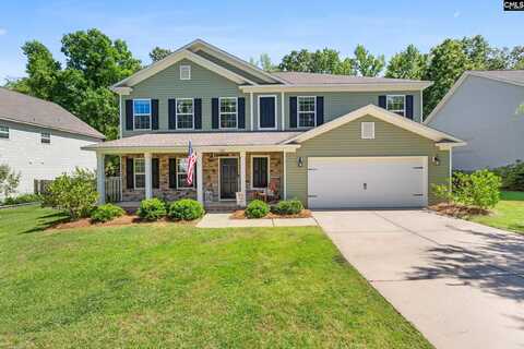 167 Sunsation Dr, Chapin, SC 29036