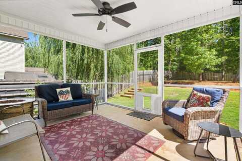 167 Sunsation Dr, Chapin, SC 29036