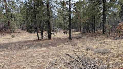 216 Allison Place, Pagosa Springs, CO 81147