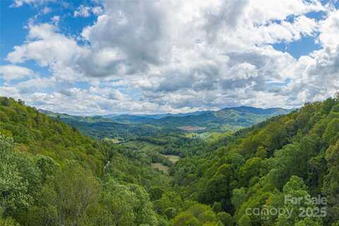 9999 Off Hurricane Ridge Trace, Clyde, NC 28721