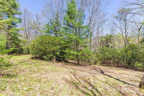 99999 Fairview Forest Drive, Fairview, NC 28730