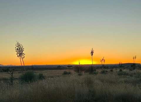 1820 Rabbit Rd, Marfa, TX 79843
