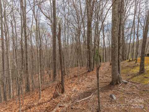 Michele Lane unit: 4, Leicester, NC 28748