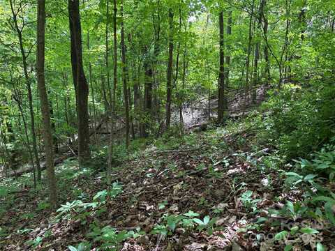 Tbd Adams Street, Waynesville, NC 28786
