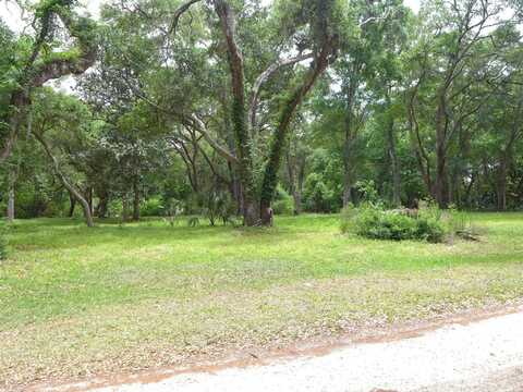 154 Oakwood Lane, Edisto Island, SC 29438