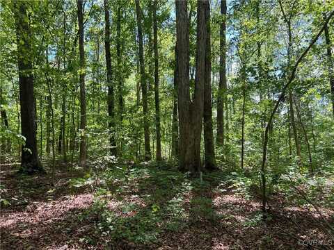 0 Ravenswood Drive, Powhatan, VA 23139