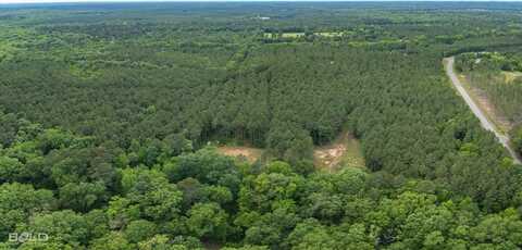 0 Highway 157, Benton, LA 71006