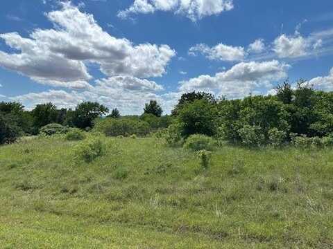 Lot 215 Evening Primrose Drive, Graford, TX 76449