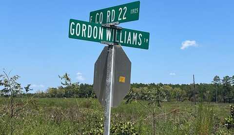 Lot #1 County Road 22, Columbia, AL 36319