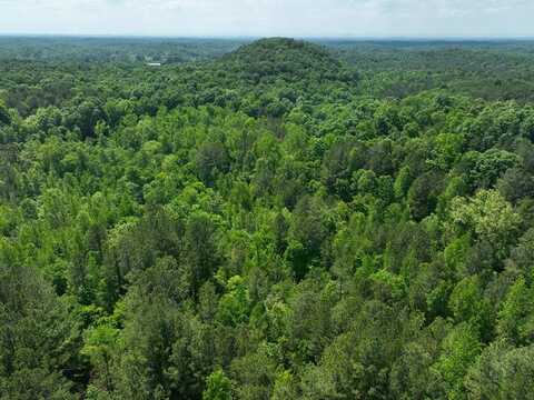 Apple Road, Ranger, GA 30734