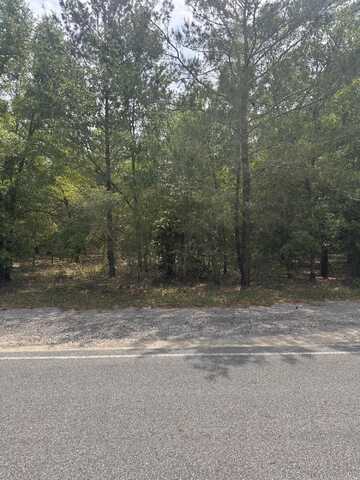 Lot 14 Blk 18 Windflower Street, DeFuniak Springs, FL 32433