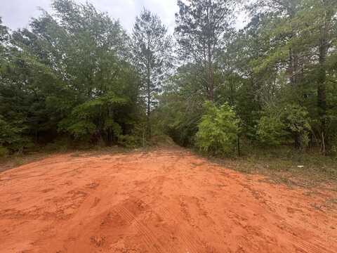 Lot 20&21 E Orange Blossom Avenue, DeFuniak Springs, FL 32433