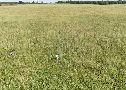 Tbd Alfonso Drive, Corsicana, TX 75110