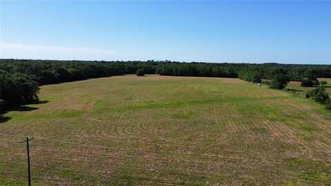 000 County Road 4930, Quitman, TX 75783