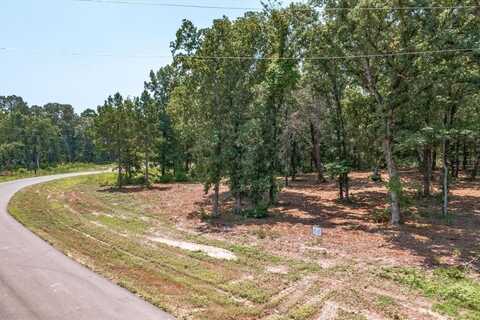 3109 Shadow Pine Drive, Larue, TX 75770
