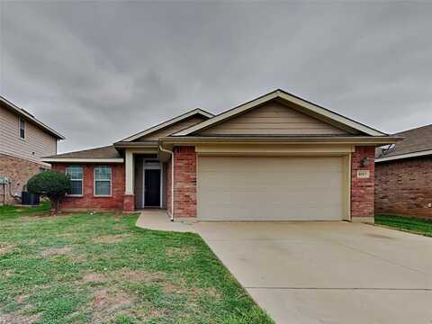 8317 Whispering Willow Lane, Fort Worth, TX 76134