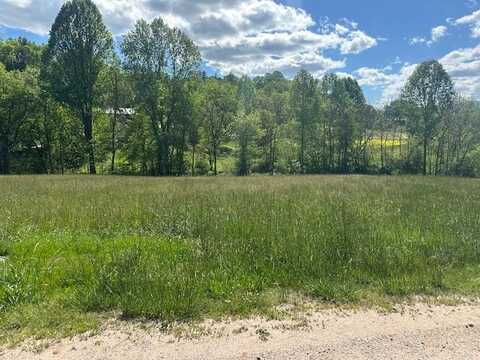 Lot 15 Bryson City Road, Franklin, NC 28734
