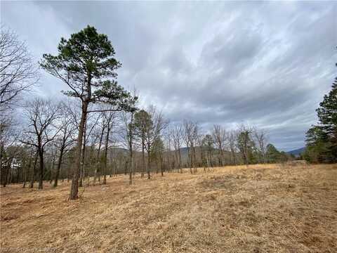 TBD Lot 6 W Harford RD, Hartford, AR 72938