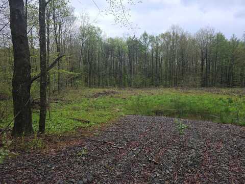 80 Fuller Rd, Triangle, NY 13778