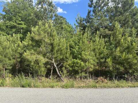 1328 OAKRIDGE PLANTATION Road, Hephzibah, GA 30815