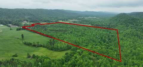 96 Triple J Drive, Ashville, AL 35953