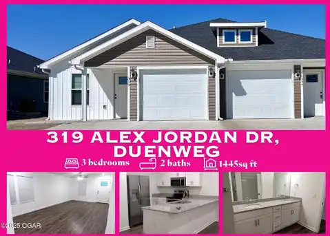 319 Alex Jordan Drive, Duenweg, MO 64841
