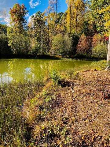 3 Long Mountain Trail, Cleveland, GA 30528