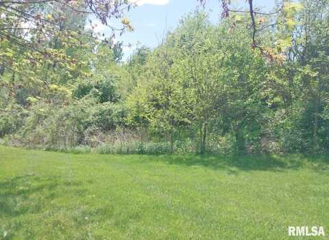 53 HIDDEN Court, Dahinda, IL 61428
