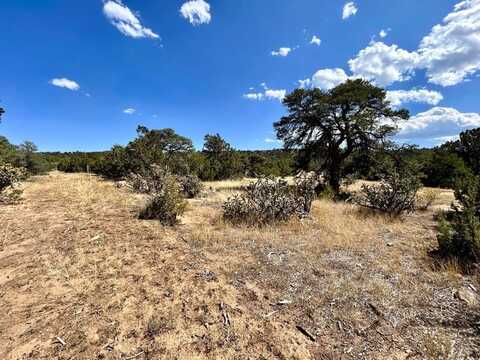 Lot 919 Los Vaqueros Cir., Walsenburg, CO 81089