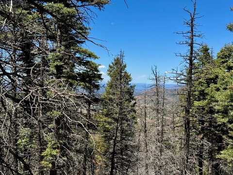 TBD Derigo Ln, Westcliffe, CO 81252
