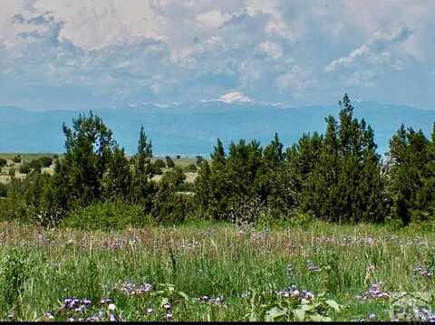 2200 Pope Valley Ranch Rd, Beulah, CO 81023