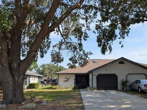9815 E PEBBLE CREEK COURT, INVERNESS, FL 34450