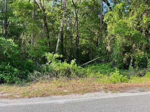 Lot 13 SW NAUTILUS BOULEVARD, DUNNELLON, FL 34431