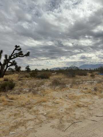 0 Cor 116 Ste Avenue, Sun Village, CA 93543