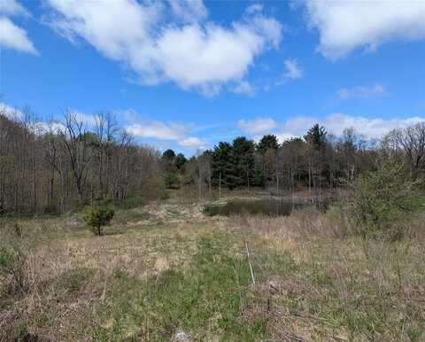 1569 Oakdale Road, JOHNSON CITY, NY 13790