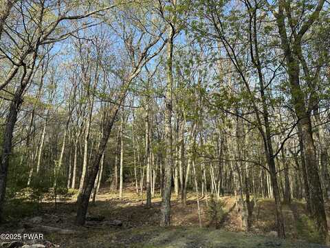 Lot 14 Sawkill Crossing, Dingmans Ferry, PA 18328