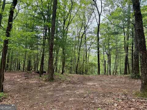 0 Secluded Pond, Cleveland, GA 30528