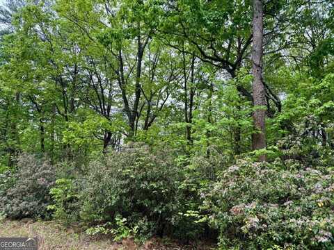 0 Snowdrift, Cleveland, GA 30528