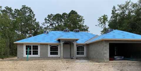 3332 W Viking Lane, Citrus Springs, FL 34433
