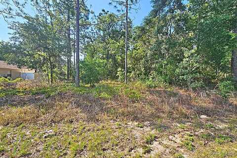 3314 W Crandon Drive, Citrus Springs, FL 34433
