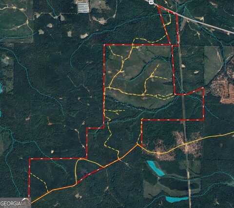 650+/- Ac Talbotton HWY, Butler, GA 31006