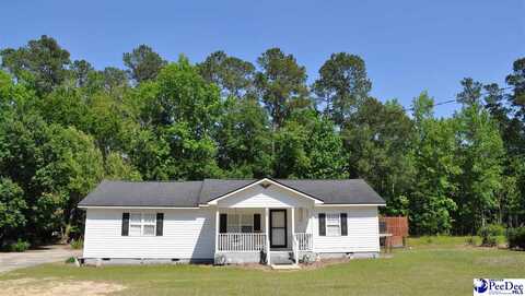 1208(1204) Highway 9, Nichols, SC 29581