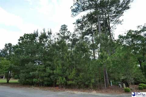 925 Ashton Dr, Florence, SC 29501