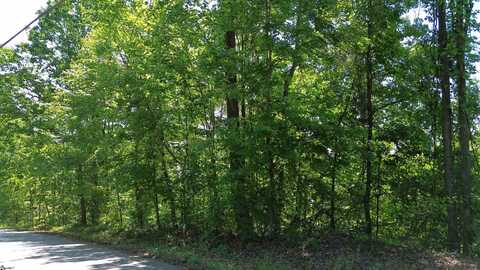 611 Packs Mountain Ridge Road, Taylors, SC 29687